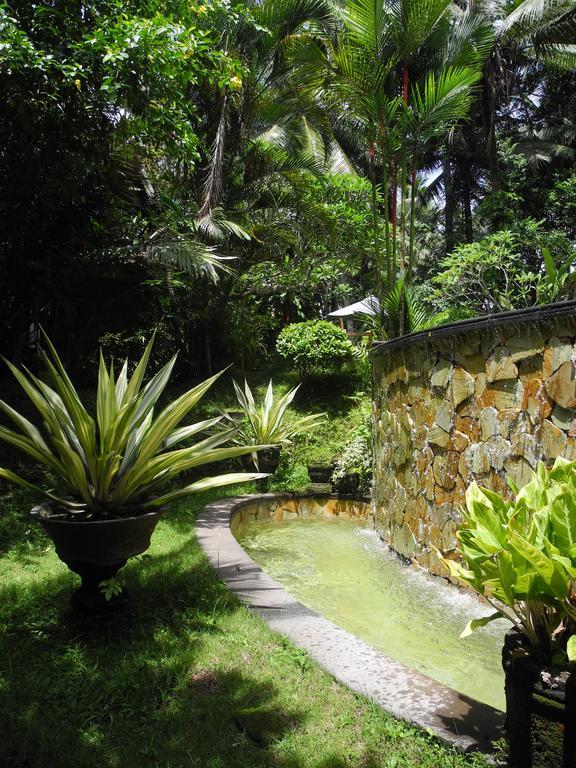 Villa Jineng Ubud By Basma Groups Luaran gambar